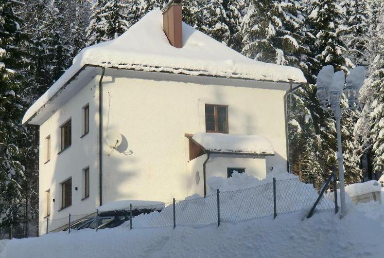 Vila Ferienhaus Lebenskraft Pfaffetschlag Exteriér fotografie