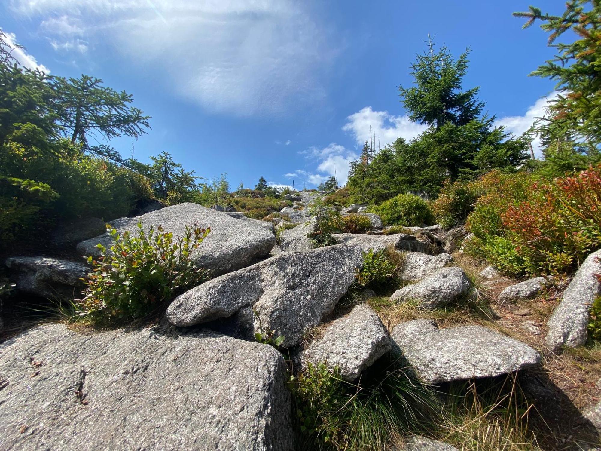 Vila Ferienhaus Lebenskraft Pfaffetschlag Exteriér fotografie